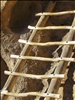 Bandelier National Monument